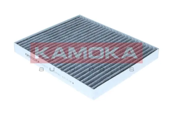 F523301 Kamoka
