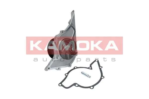 T0047 Kamoka