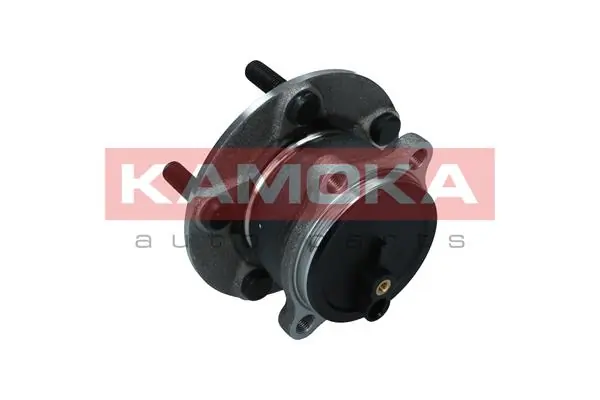 5500298 Kamoka