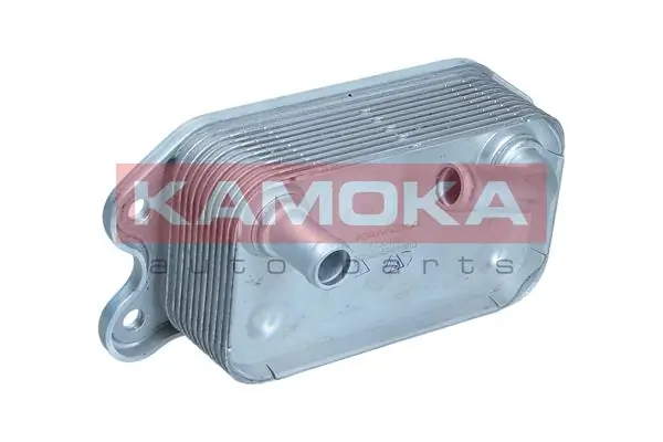 7730160 Kamoka