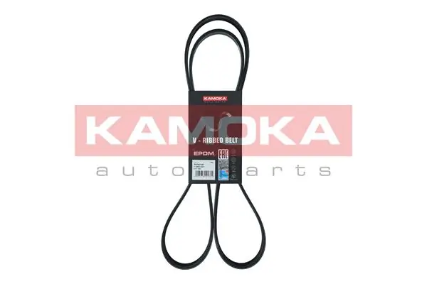 55569810 Peugeot/Citroen Correa poly v
