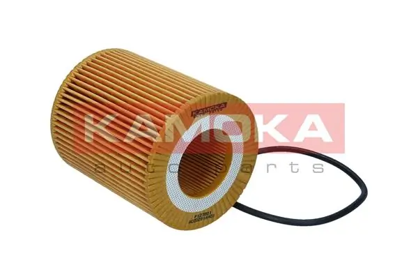 F123801 Kamoka
