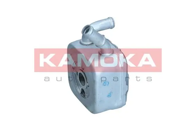 7730072 Kamoka