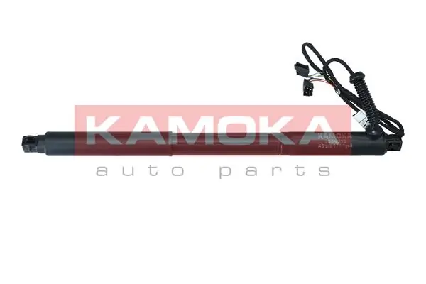 7094013 Kamoka