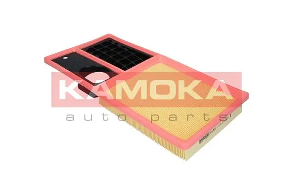 F233701 Kamoka