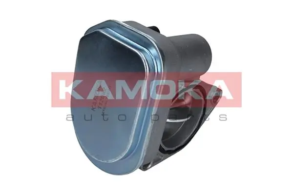 Cuerpo de aceleración completo Kamoka 112002 precio, desde 121,47 EUR