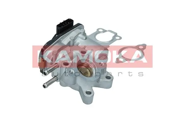 Válvula, AGR Nissan Navara D40