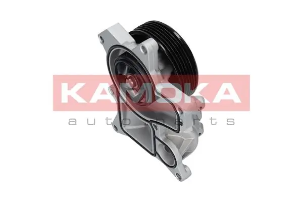 T0048 Kamoka