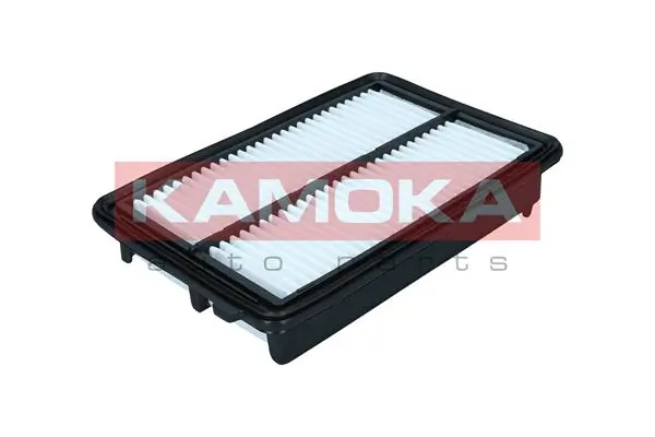 F256801 Kamoka