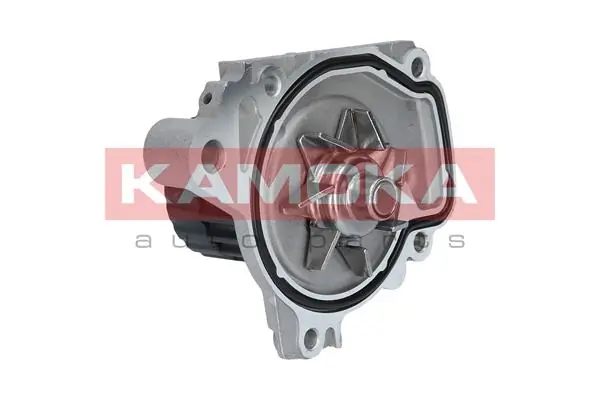 T0148 Kamoka