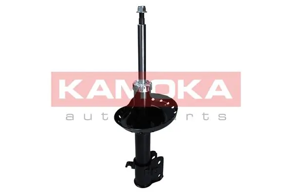 2000539 Kamoka