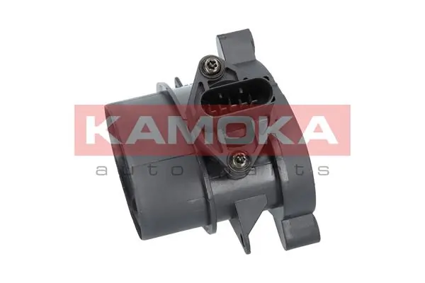 18054 Kamoka