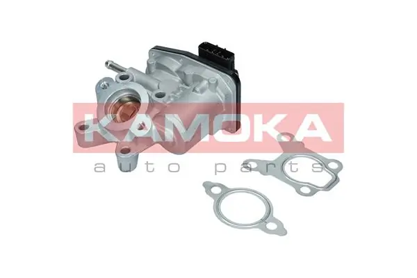 Válvula, AGR Nissan Navara D40