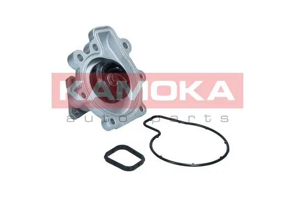 T0292 Kamoka