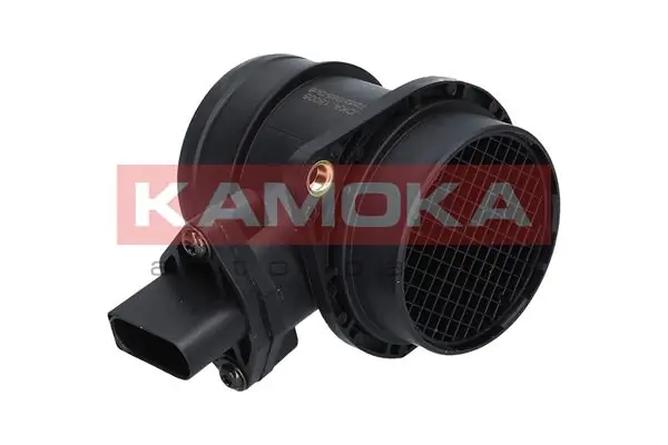 18005 Kamoka