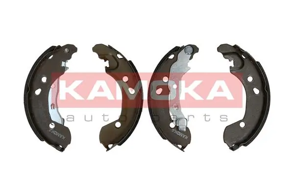 JQ202052 Kamoka