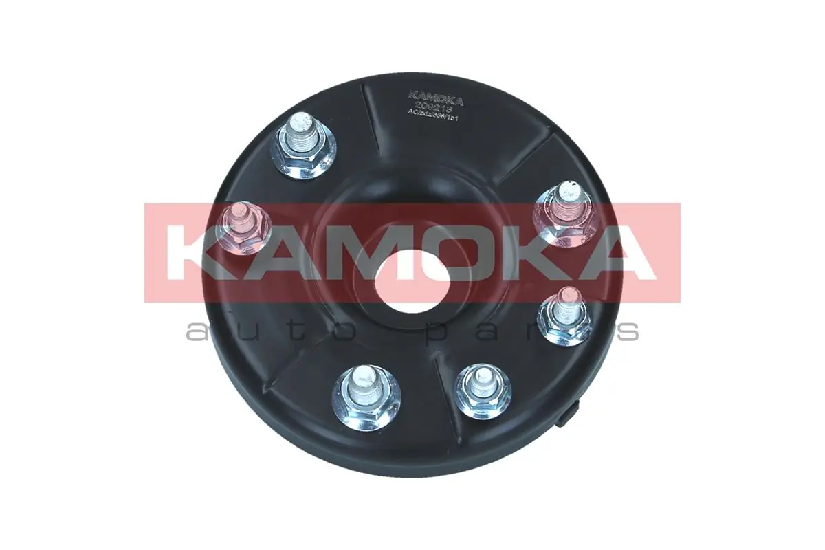 209213 Kamoka