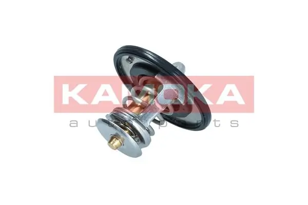 7710100 Kamoka