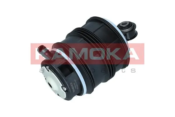2079040 Kamoka
