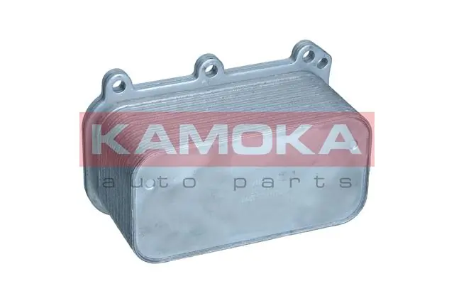 7730141 Kamoka