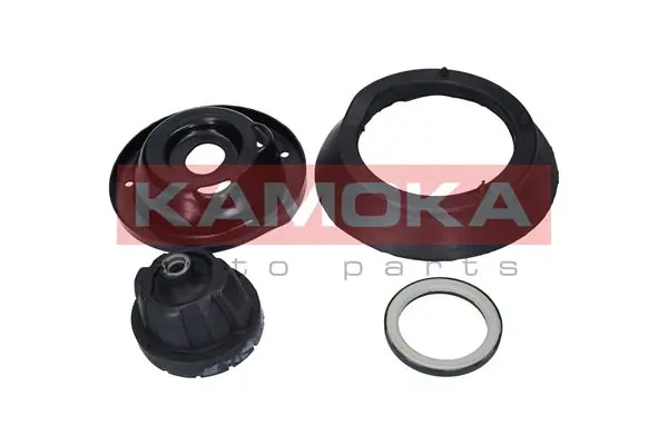 209004 Kamoka