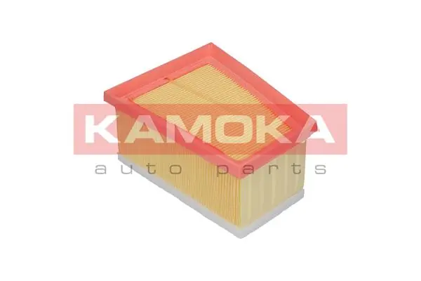 F202101 Kamoka