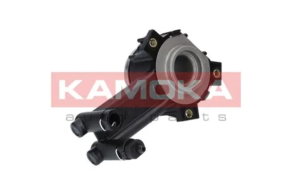 CC008 Kamoka