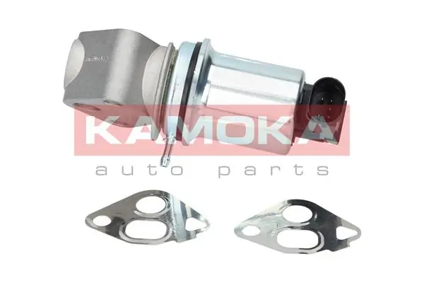 Comprar EGR Polo V 6R1, 6C1