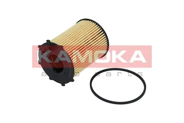 F100701 Kamoka