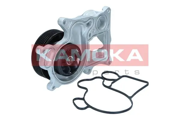 T0301 Kamoka