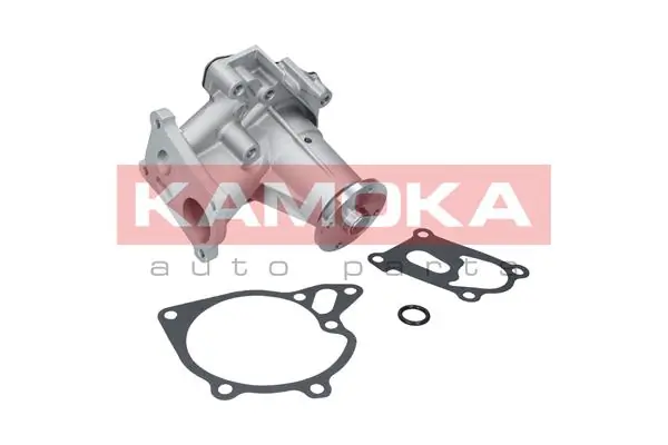 T0161 Kamoka