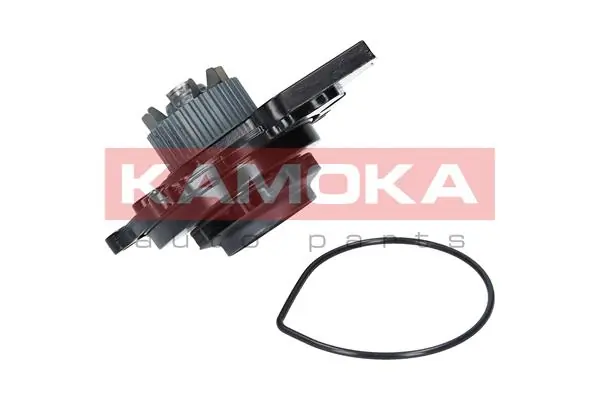 T0031 Kamoka