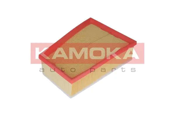 F234101 Kamoka