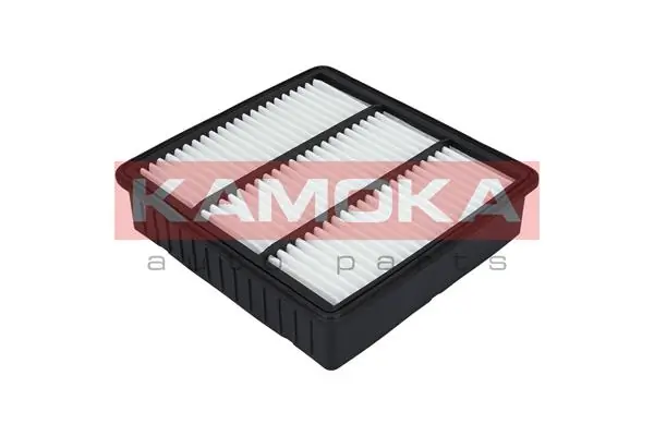 F232601 Kamoka
