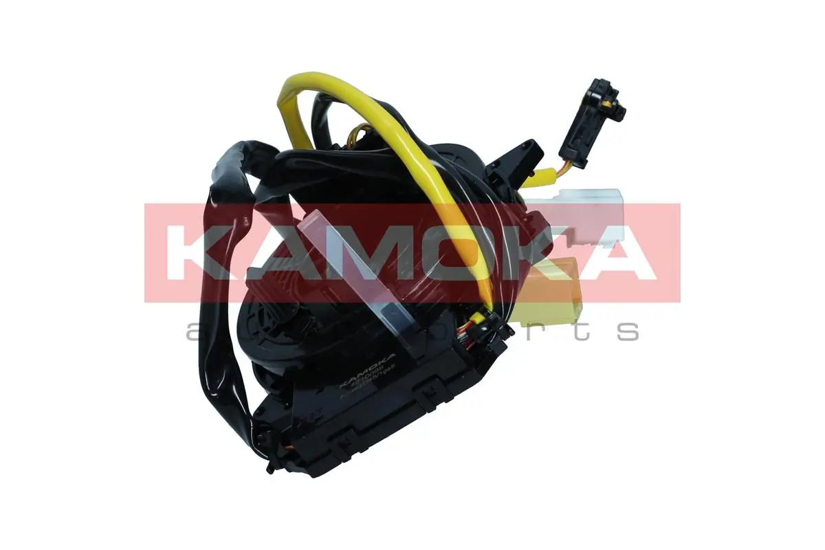 4210098 Kamoka