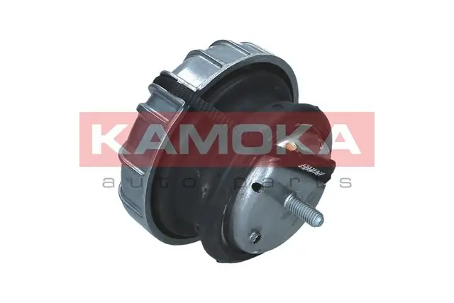 890798 Kamoka