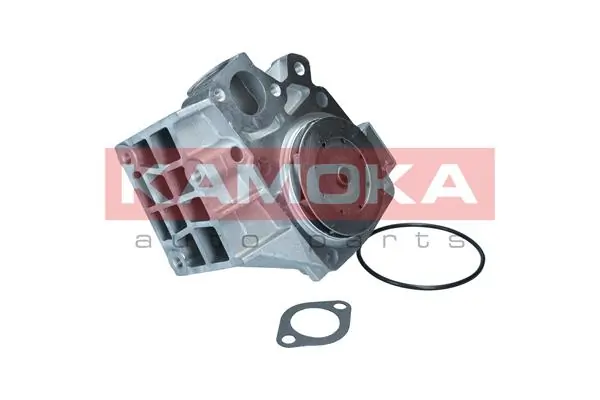 T0120 Kamoka