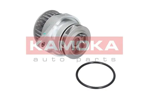 T0249 Kamoka