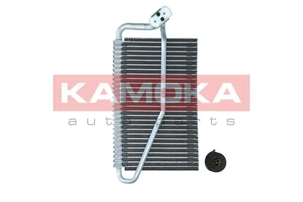 7770036 Kamoka