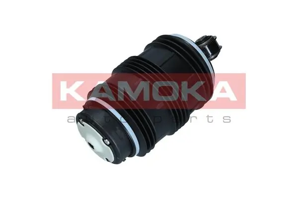 2079053 Kamoka