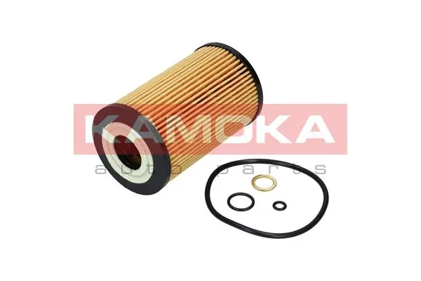 F111101 Kamoka