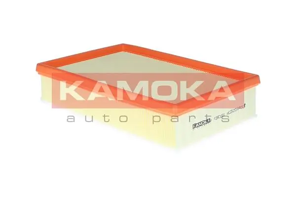 F260201 Kamoka