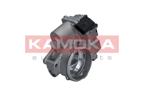 112011 Kamoka