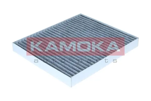 AS2570 Polcar Filtro antipolen