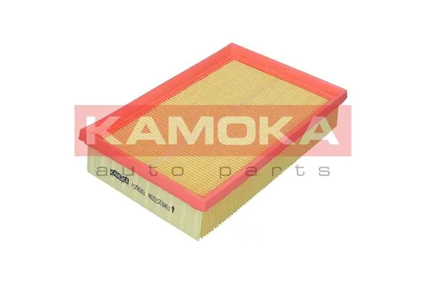 F256301 Kamoka