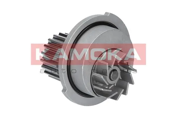 T0066 Kamoka