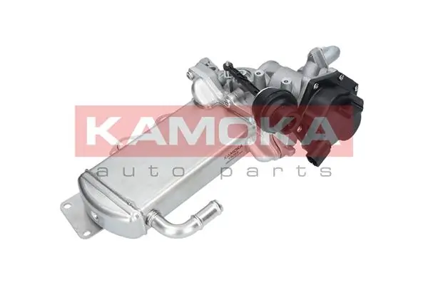 19068 Kamoka