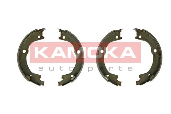 JQ212067 Kamoka