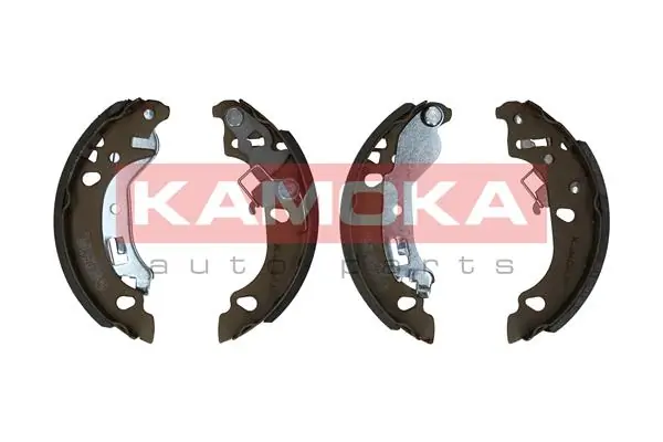 JQ202048 Kamoka