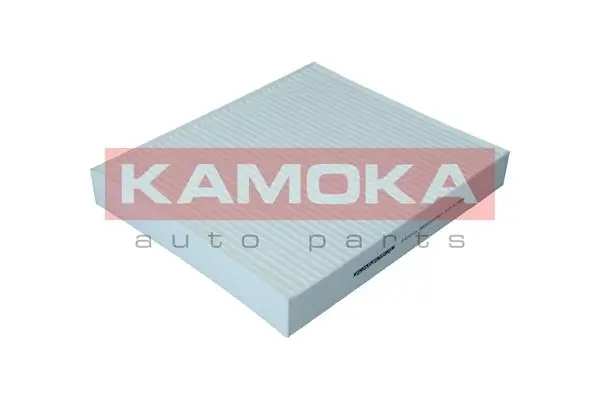 F424101 Kamoka